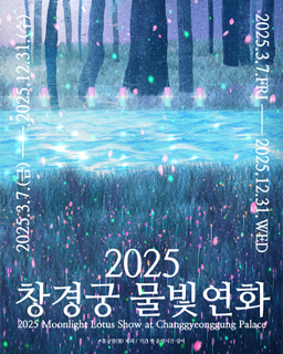 🌙🧚♀️ Whispers of Moonlight: A Royal Evening in Seoul 🇰🇷❤️ 2 1 1