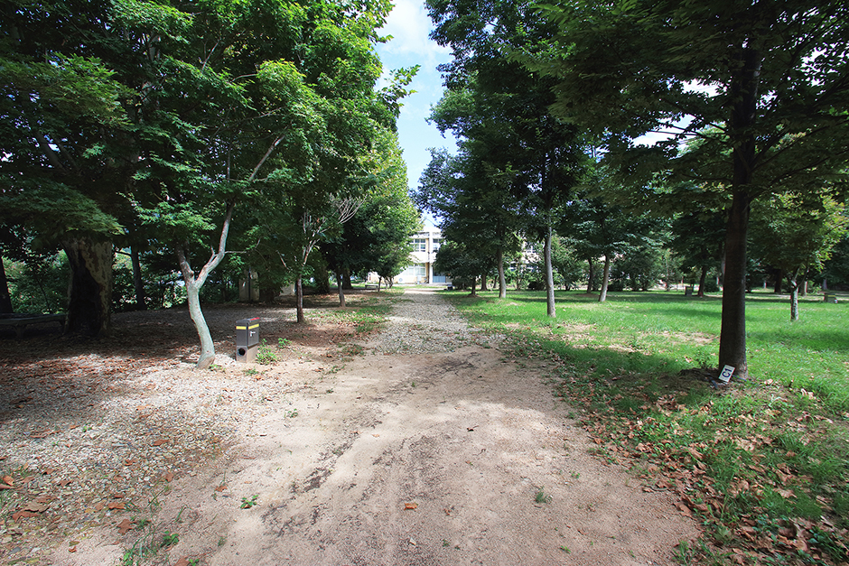 2728298 image2 1