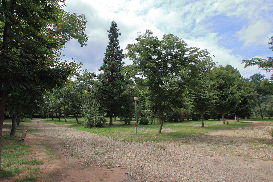 2728310 image2 1