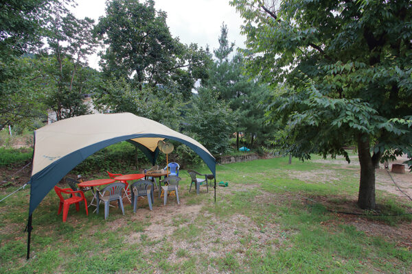 2728313 image2 1