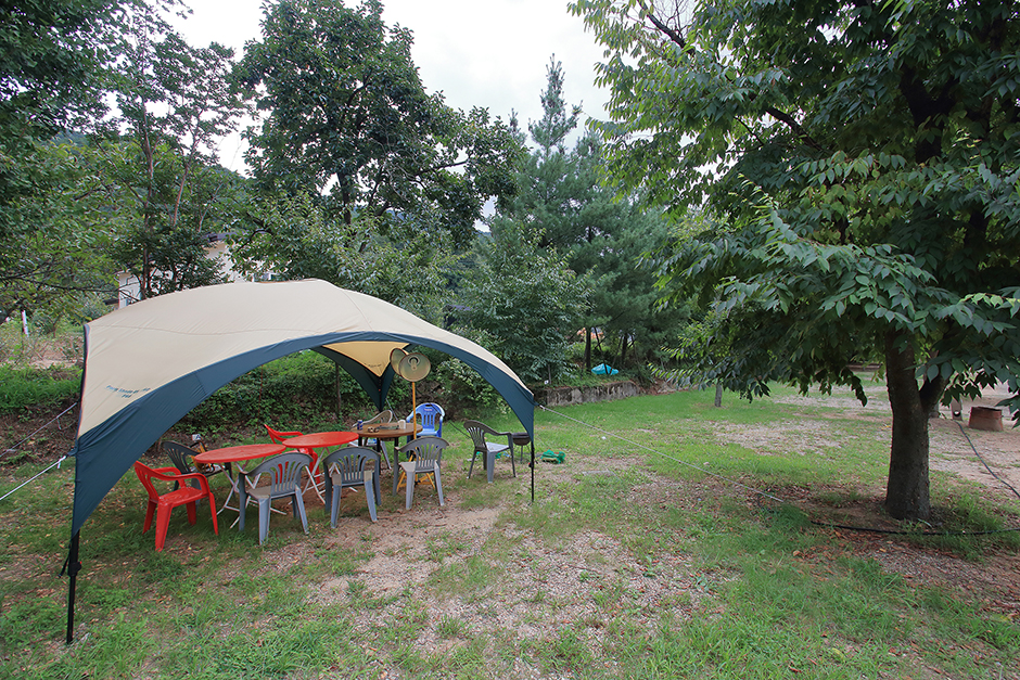2728313 image2 1