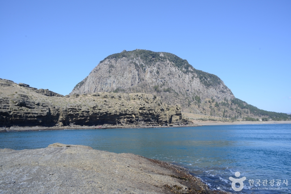 3011814 image2 1
