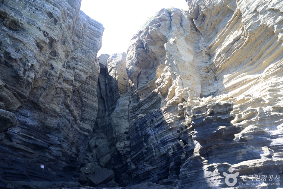 3011817 image2 1