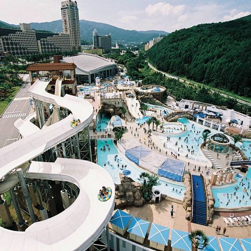 Top 4 Must-Visit Water Parks in South Korea 3 3 4