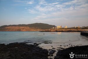 3354602 image2 1