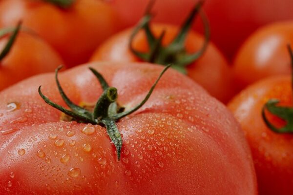 Dive into Summer Fun at Korea’s Dunnae Highland Tomato Festival 2025! image 3